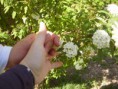 /album/fotogaleria/p1010023-jpg/